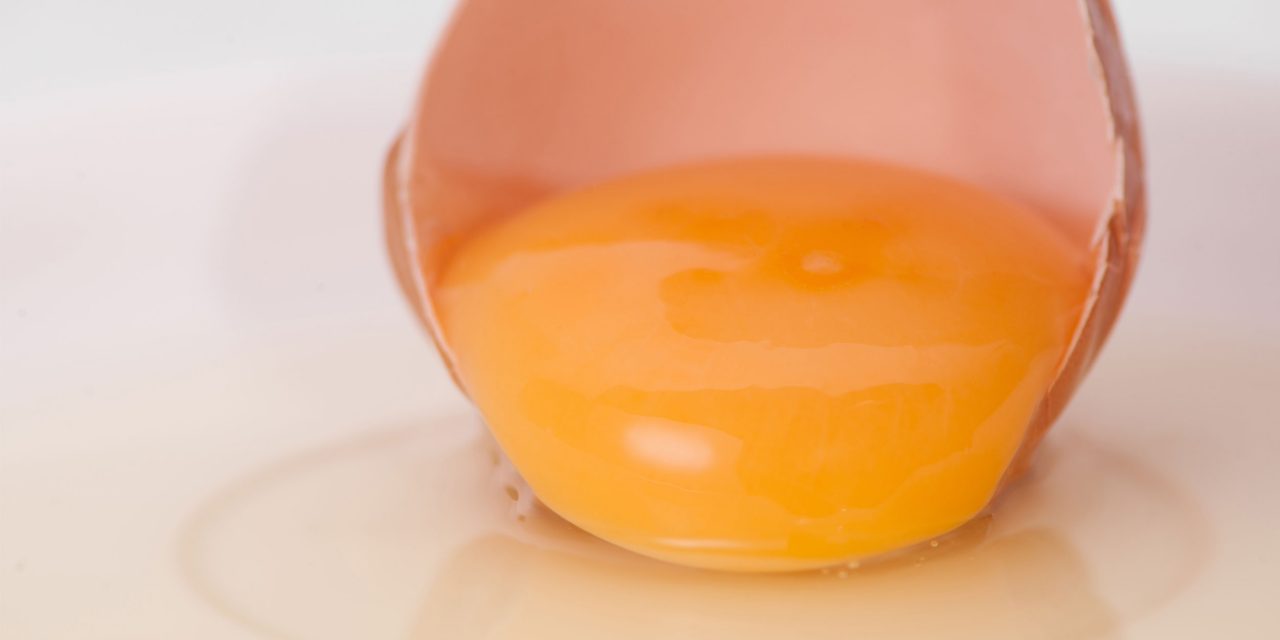 Гомогенизация яиц и ее важность