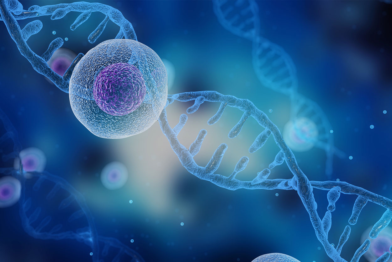 Le Rôle Crucial des Homogénéisateurs dans la Production de Cellules Souches: Pourquoi Choisir HOMMAK?