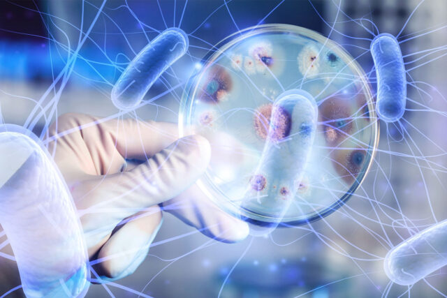 The Critical Role of Homogenizers in Probiotic Production: Emphasis on Hommak Homogenizers